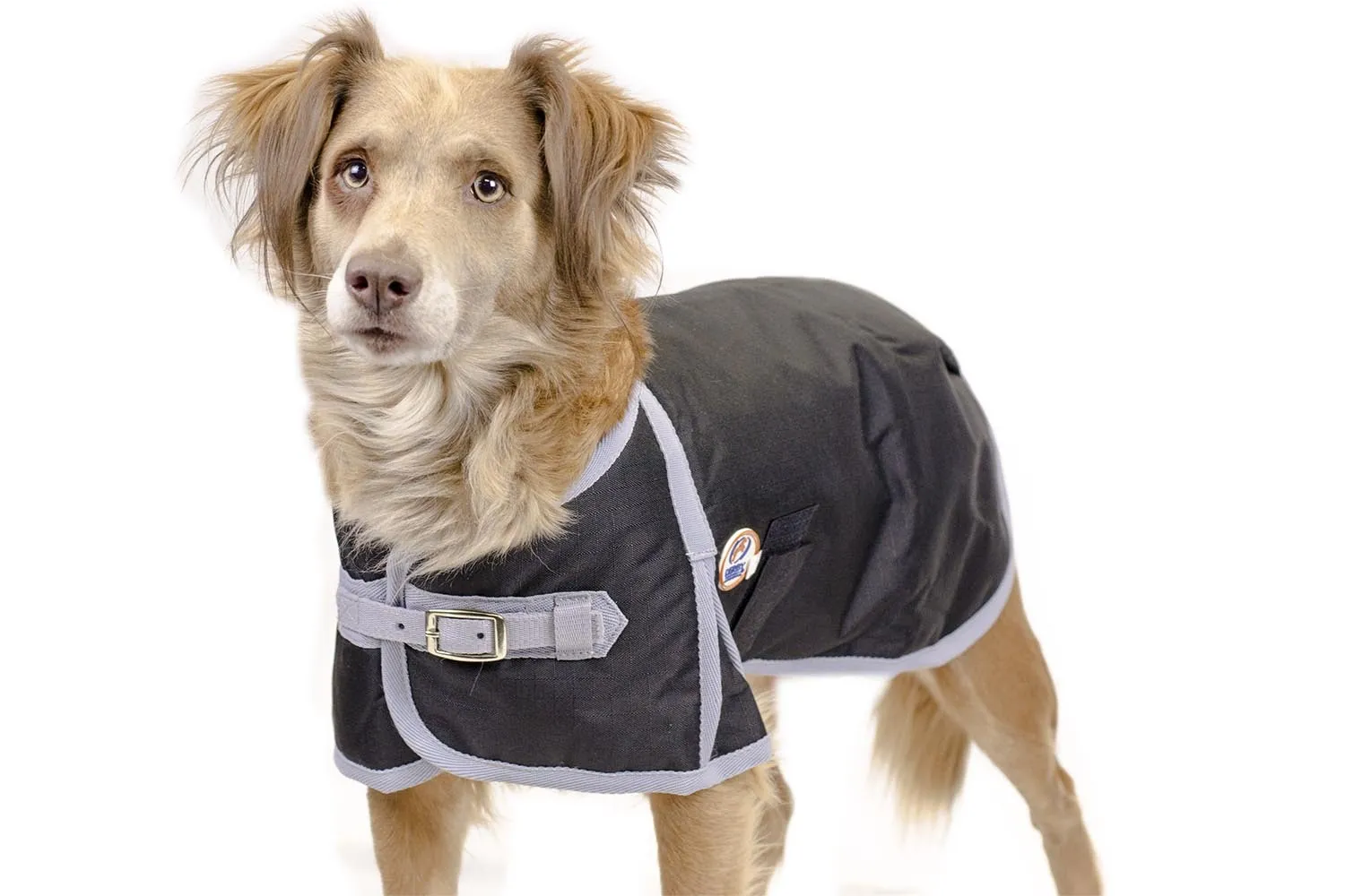 Derby Originals Solid Color Horse-Tough 600D Waterproof Ripstop Nylon Winter Dog Coat with One Year Warranty*