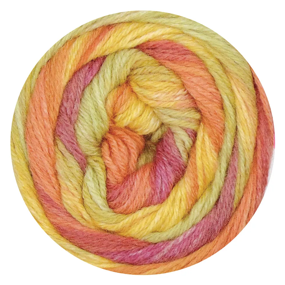 Estelle Evolution Sock Yarn