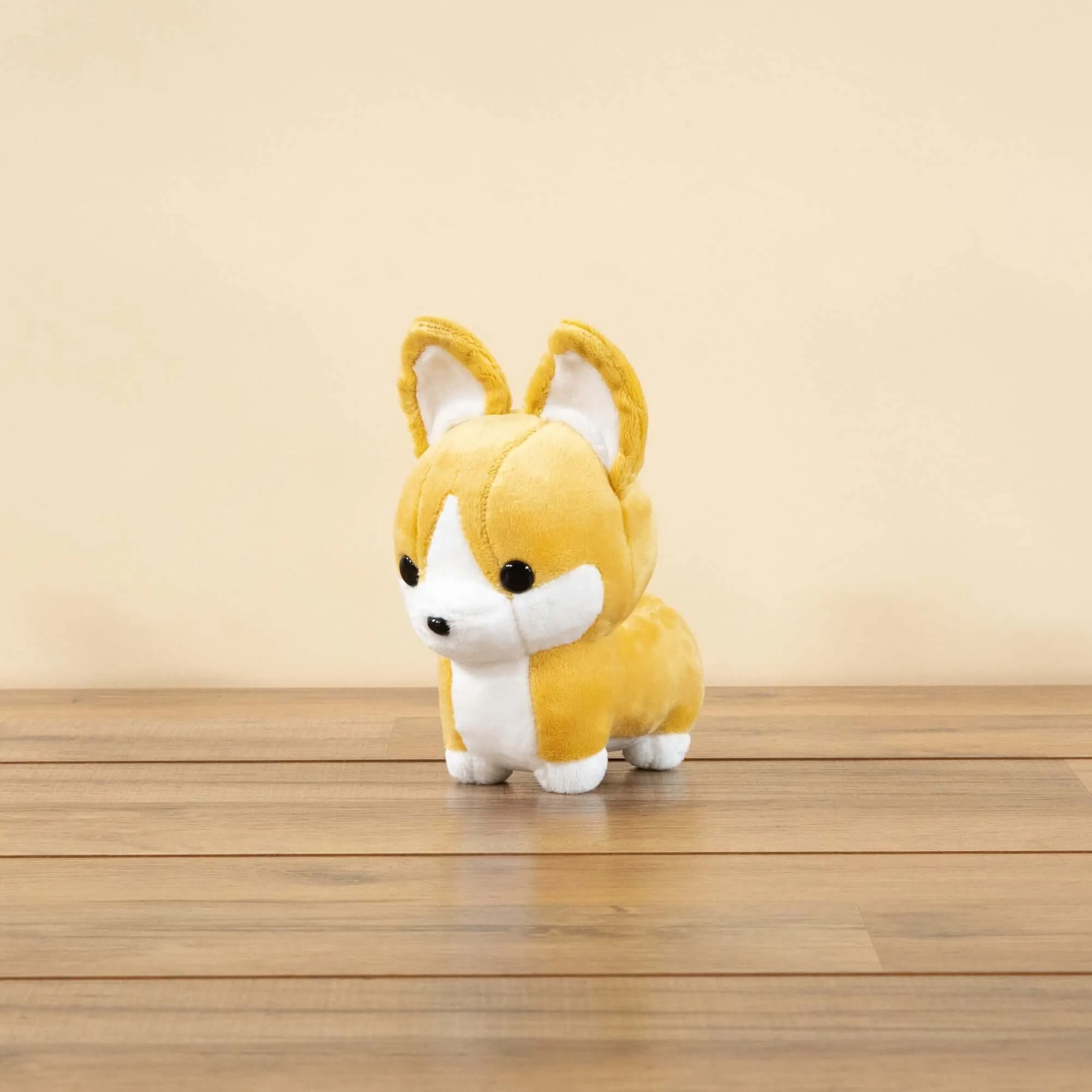 Mini Corgi the Dog