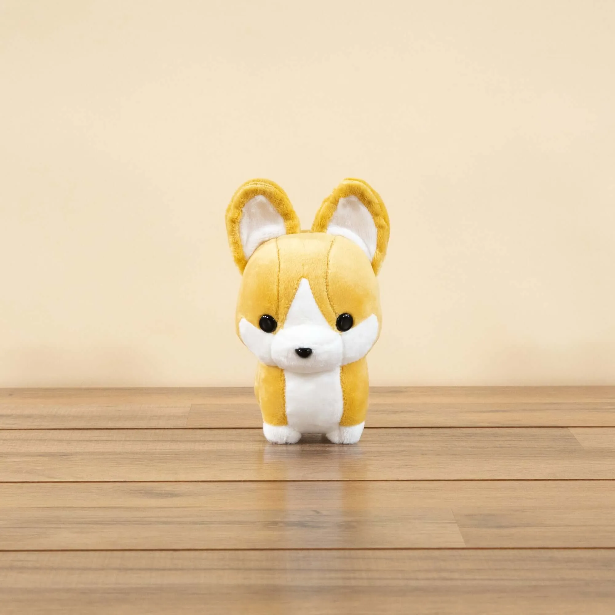 Mini Corgi the Dog